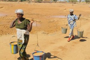 사헬 (Sahel) 지역 극심한 가뭄 피해