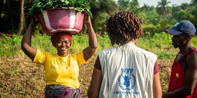 © WFP/Michael Duff N'yayh Sankoh (left), a smallholder farmer in Tawuya Community (Sierra Leone), carrying freshly harvested potato leaves speaks to WFP staff.