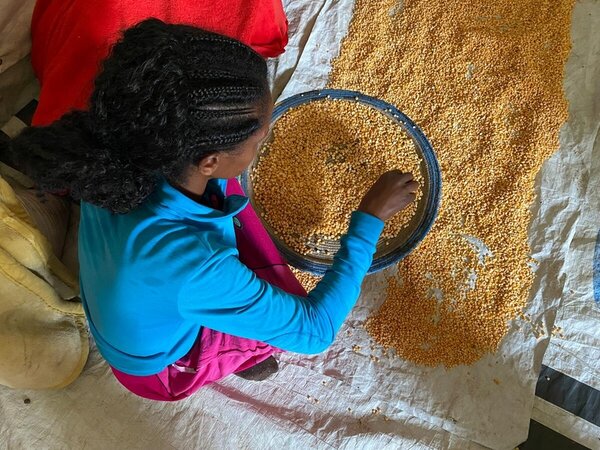 WFP is providing food assistance to 230,000 people in Amhara who have been impacted by conflict