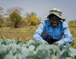 말라위에서 WFP의 지원을 받는 소작농 Photo: WFP/Badre Bahaji