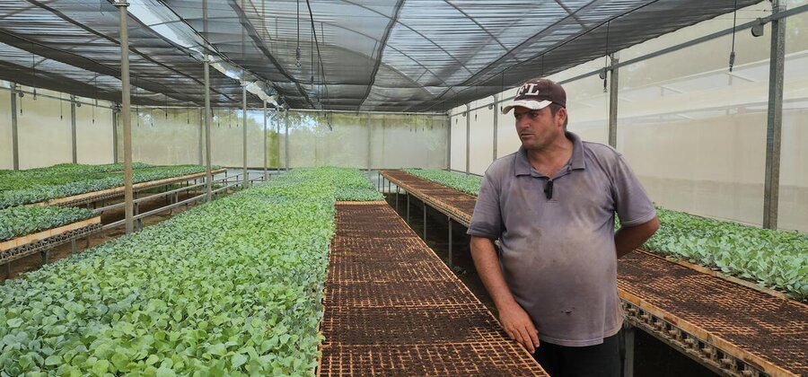 Cuban farmer in a green shirt and cap standing in greeenhouse