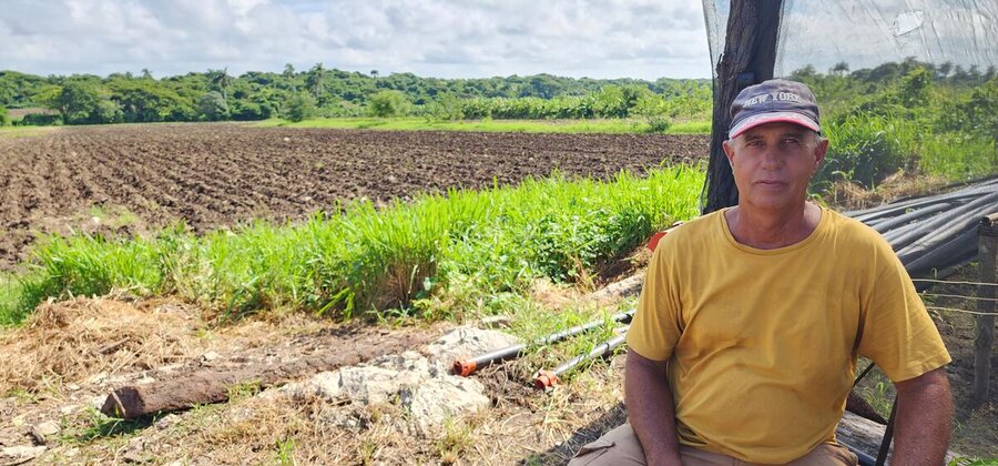 Cuban farmer in a yellow shirt and cap standing in greeenhouse