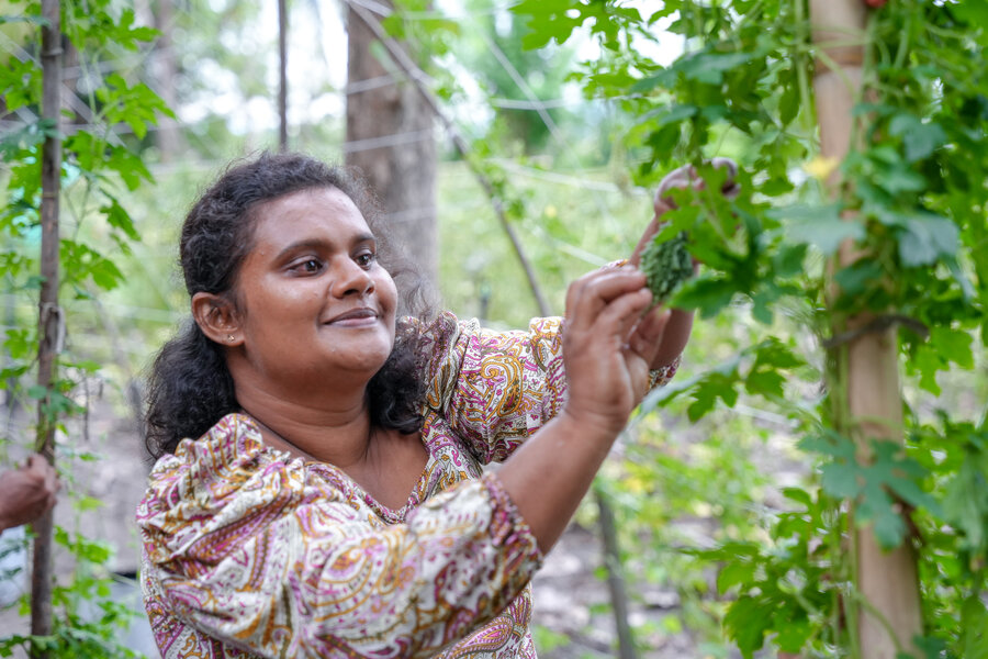 스리랑카 부탈라, 학교 급식 조리사이자 농장 주인 마노리 마헤시카
