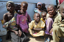 카메룬: 나이제리아 폭력 사태로부터 피신한 사라 씨