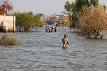 파키스탄 대홍수 그리고 100일